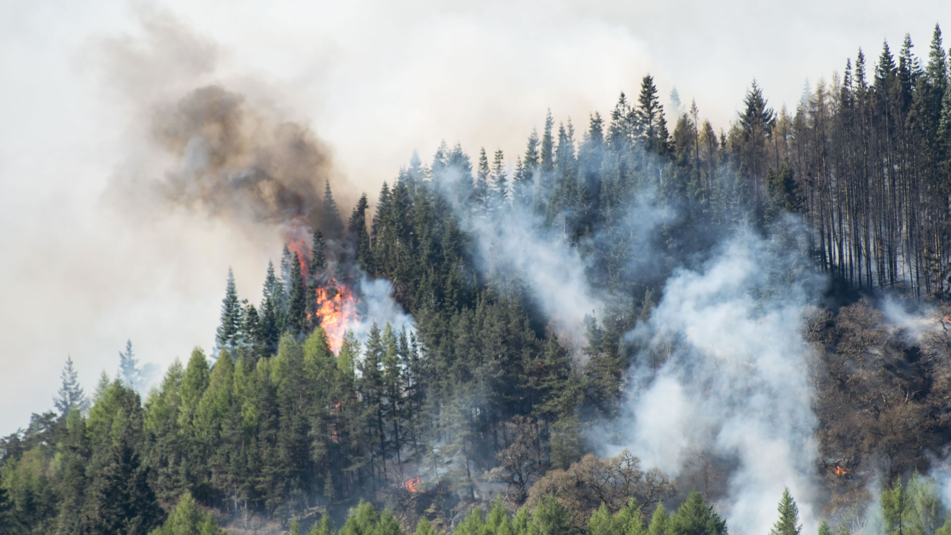 Prevenzione incendi boschivi
