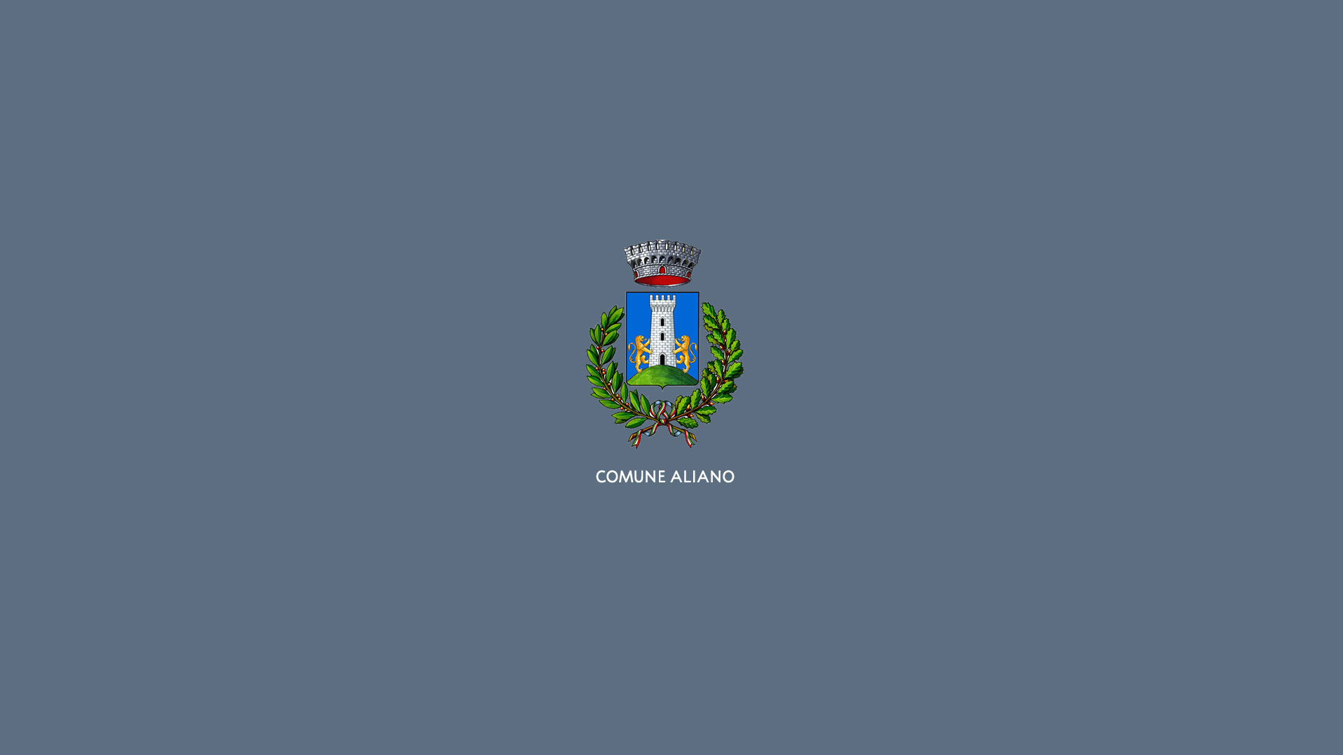 consiglio comunale aliano